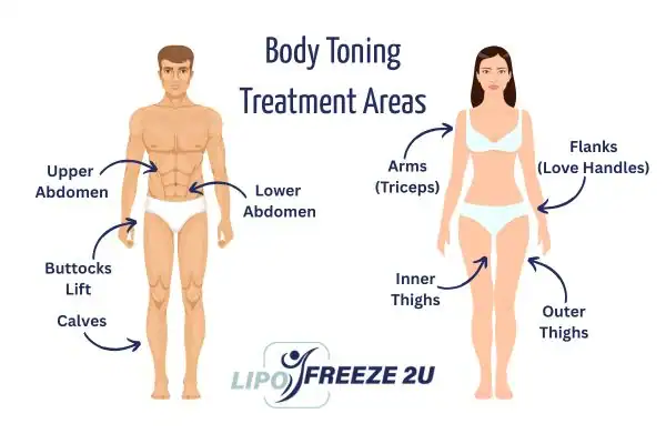 Graphic showing where you can have Body toning Treatment Hemel Hempstead on your body